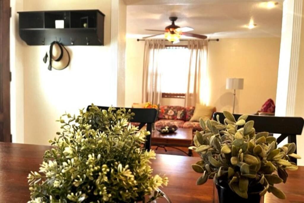 House Close To Downtown, Airport, Raymond James Stadium, And Many More Places 탬파 외부 사진